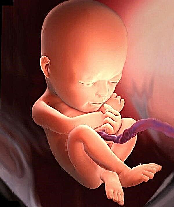 妊娠23週 感覚 胎児の発育 推奨事項 妊娠 21