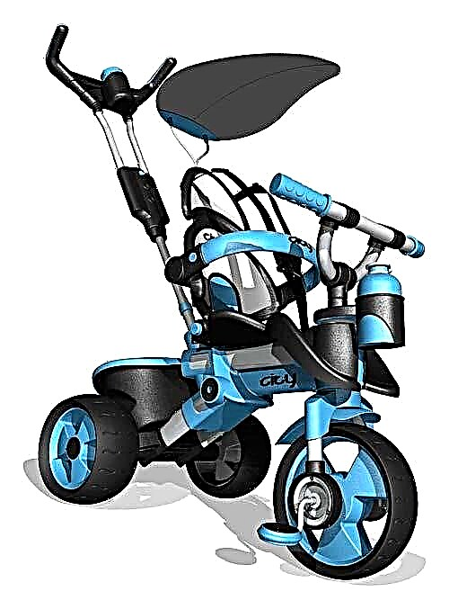 10 nejlepších tříkolek pro děti na invalidním vozíku