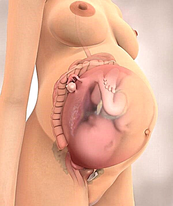 38 Wochen schwanger