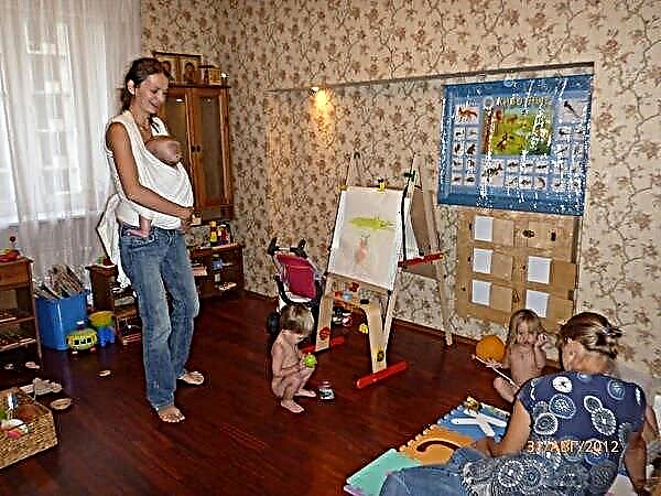 Technique Montessori à faire soi-même: nous organisons un environnement en développement à la maison