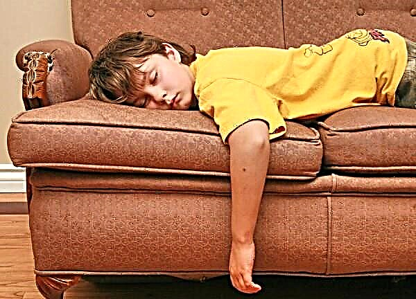 Lazy child: how to deal with children's laziness and how to teach children to work