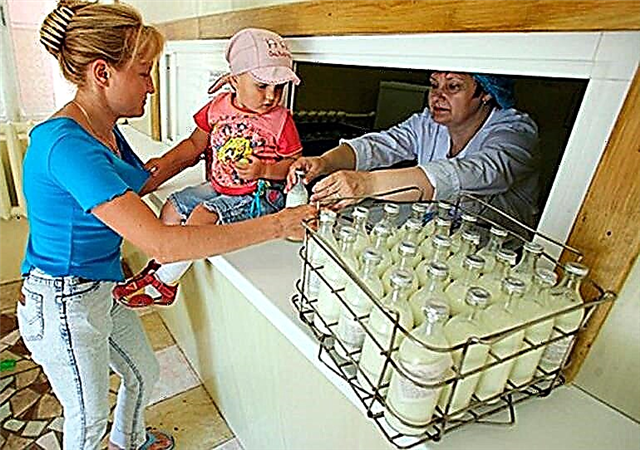 Cómo conseguir comida en la cocina de los lácteos en 2016. Documentos requeridos y procedimiento de registro