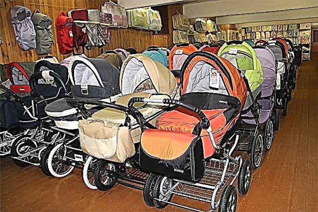 5 main criteria by which a stroller should be evaluated