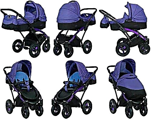 2-in-1 transforming strollers: features of strollers and selection rules