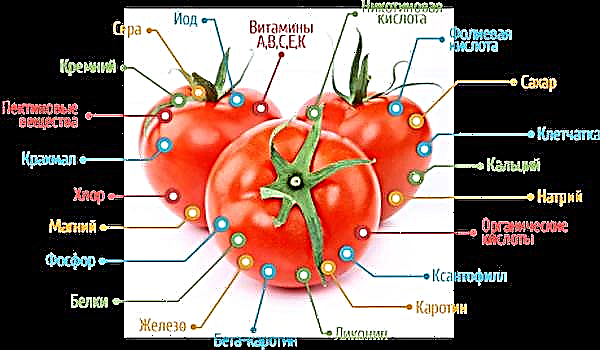 Tomater til en baby - hvornår og hvordan introducerer de dem i kosten?