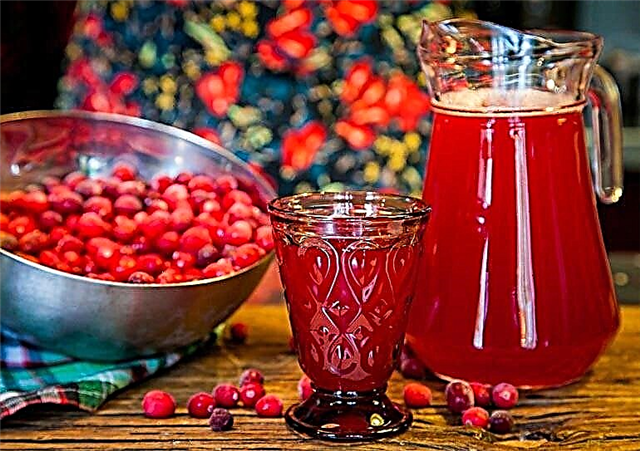 Com que idade as crianças podem receber cranberries e suco de cranberry