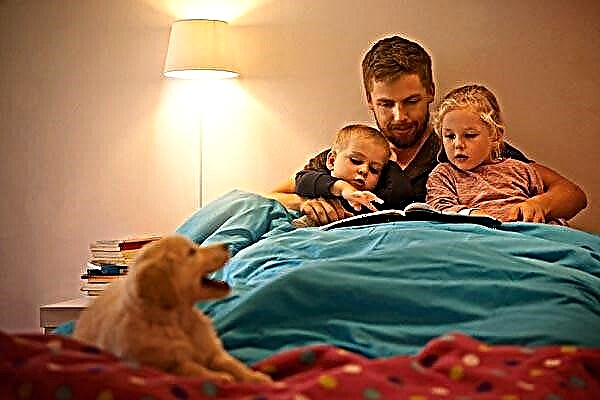 „Приказка за лягане“ или защо приспособленията не могат да заменят книга за дете?