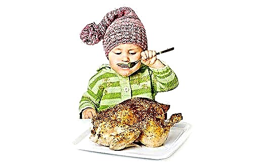 Thịt trong chế độ ăn của trẻ - các quy tắc để giới thiệu thức ăn bổ sung thịt