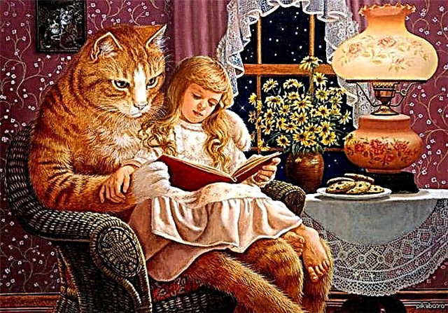 Bedtime stories - a pleasant ritual before bed