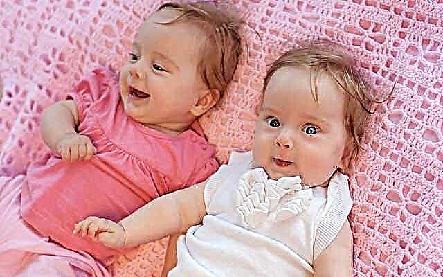 8 consejos principales para el destete de gemelos
