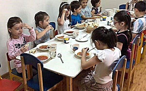 부모를위한 메모 : 아이가 유치원에서 음식을 먹지 않는 20 가지 이유와 대처 방법 (1 부)