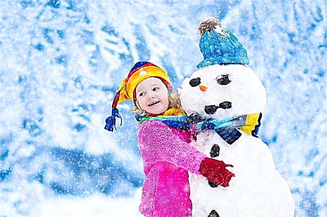 Hva du skal gjøre med barnet ditt før slutten av vinteren: vi tilbyr de beste alternativene