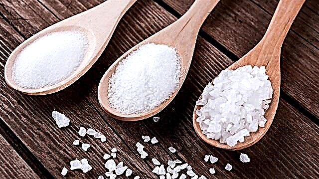 母親の意見：3歳未満の子供に塩と砂糖を与えることは可能であり、必要ですか。 +コマロフスキー博士と小児科のセルゲイ・ニアンコフスキー教授の相談