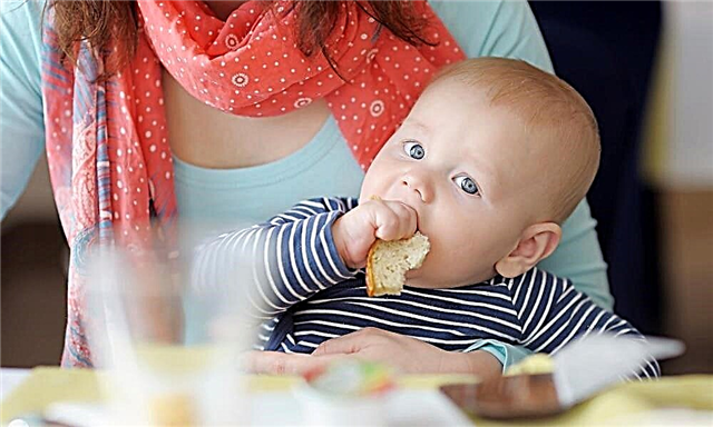 TOP 5 sản phẩm dành cho người lớn: thực phẩm từ bàn ăn chung không nên cho trẻ em
