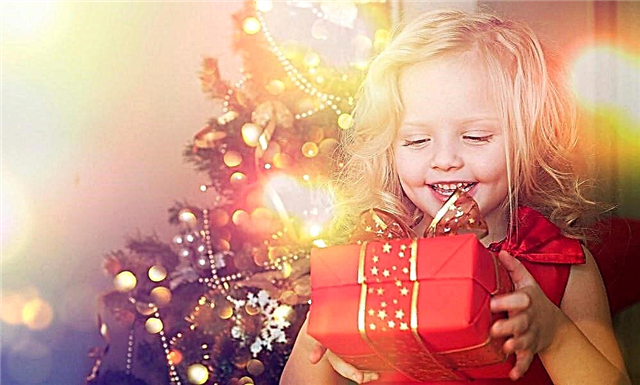 Apa yang harus dilakukan jika Anda tidak dapat membeli hadiah untuk anak Anda yang dia pesan dari Sinterklas