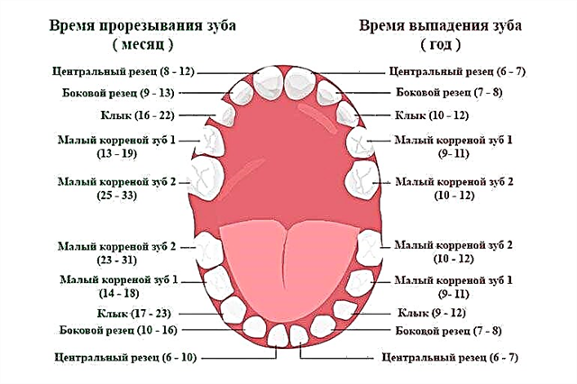Ketika gigi pertama muncul pada bayi: masa dan gejala penampilan
