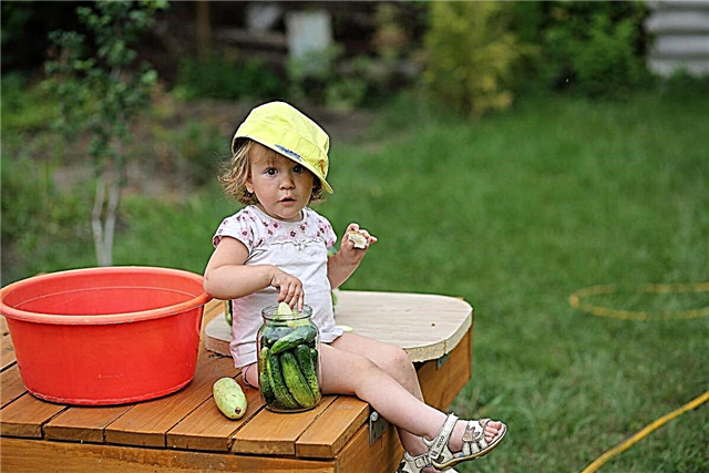 Bir yazlık evin bir çocuk için 10 ana avantajı