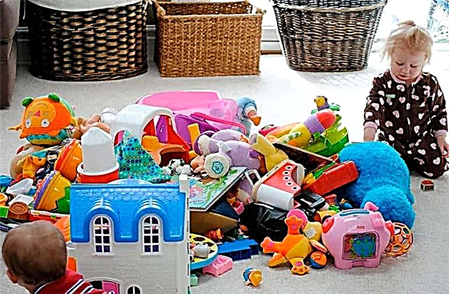 Wie man einem Kind im Alter von 2 bis 3 Jahren beibringt, sein Spielzeug wegzuräumen: Wir bringen einem Baby bei, unabhängig zu sein